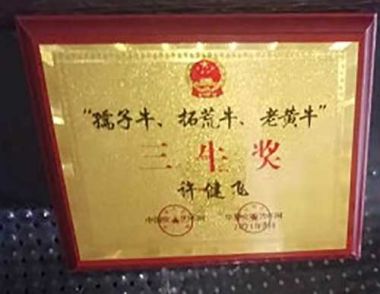 传承中医文化      造福一方百姓 中国当代名医——许健飞