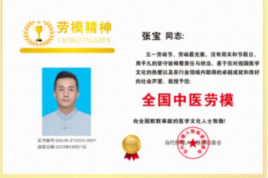 弘扬中医劳模精神  争做时代先锋 党旗下的大国医者——张宝(张茗壹)