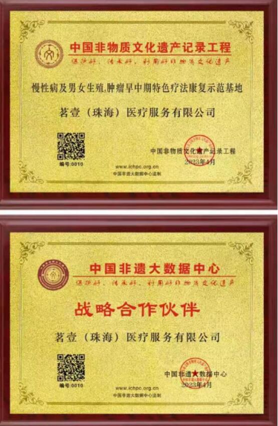 弘扬中医劳模精神  争做时代先锋 党旗下的大国医者——张宝(张茗壹)