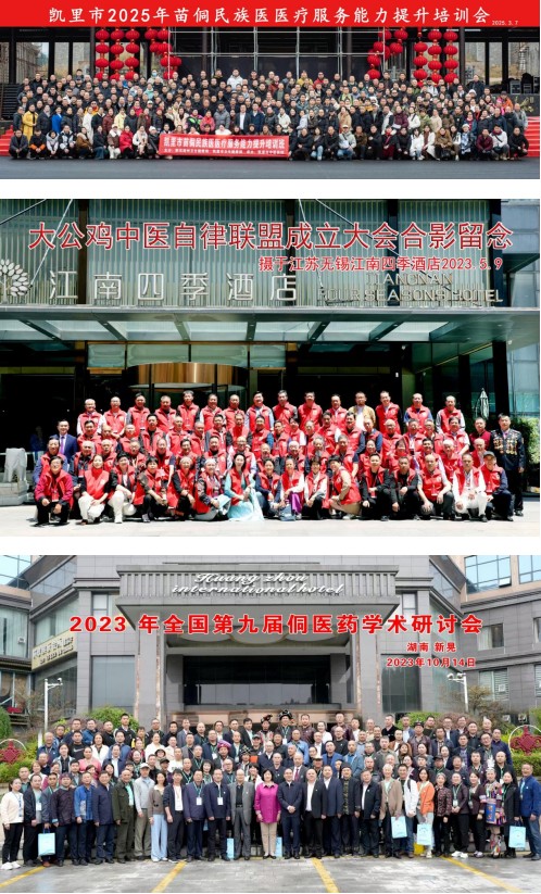七一礼赞：苗医龙鲜于民族医药星河中铺展璀璨长卷
