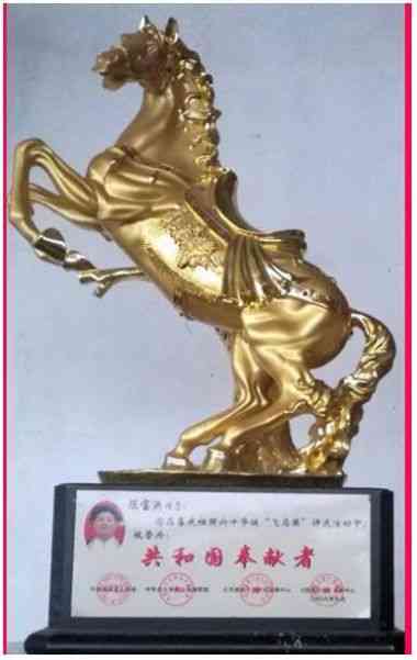 中国好医生北京陈宝洪中医研究院——陈宝洪院长