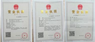 中国国粹传承——冯诗茗