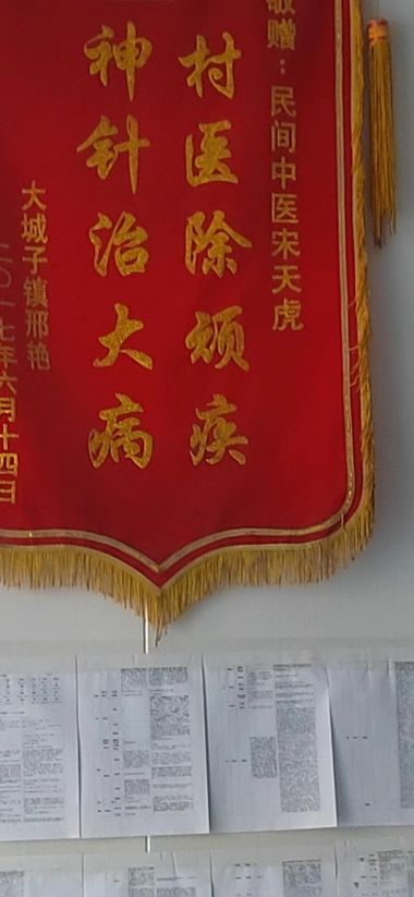 国医百科官网特别报道 中国当代名中医——宋天虎