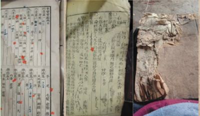 发扬歧黄精神  传承国医精粹 访著名中医专家---廖远雄