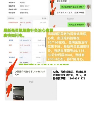 易新亮灵氧细胞穴位靶向疗法让细胞疗效倍增的奥秘