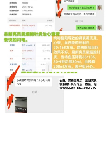 灵氧细胞穴位靶向疗法让细胞疗效倍增的奥秘--易新亮