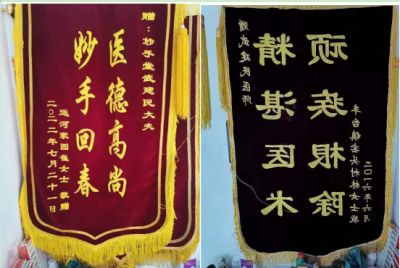 贯彻落实两会精神 访新时代国医名师---妙手堂武建民