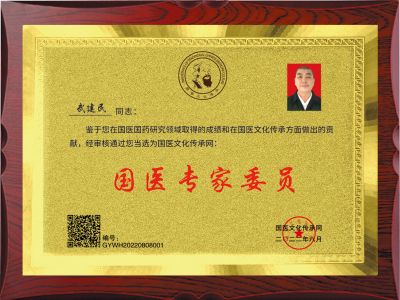 贯彻落实两会精神 访新时代国医名师---妙手堂武建民