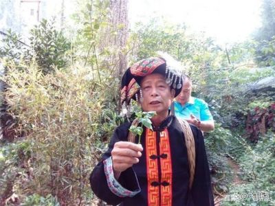 贯彻落实两会精神 访新时代国医名师---潘宝建
