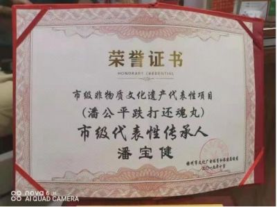 贯彻落实两会精神 访新时代国医名师---潘宝建