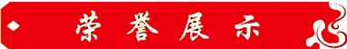 妙手回春医顽疾 誉满杏林济苍生 记当代中医骨膜消结术创始人---潘杏富