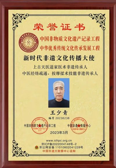 国宝级中医——王少青