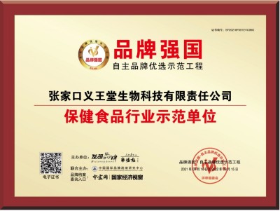 中医传国脉  岐伯济天下 记国医名师---王平