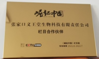 中医传国脉  岐伯济天下 记国医名师---王平