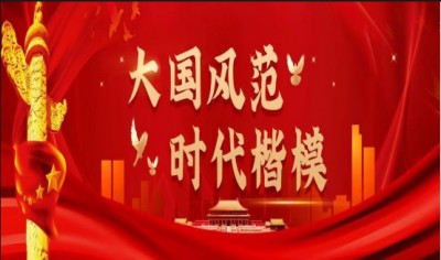 两会重点推荐 大国医者---王镇