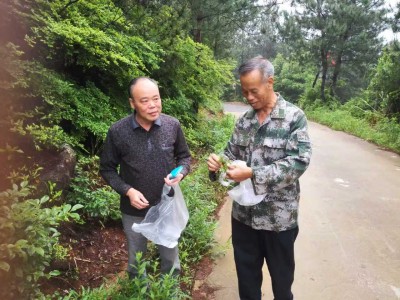 赣南地区天然中草药的研究与开发 一一江西省信丰县金源生物科技发展有限公司   邱胜亮(电话:13803572282)