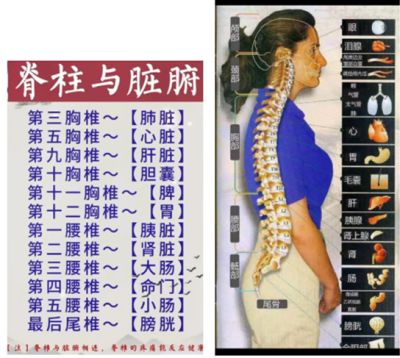 承千年文化  扬中医德馨 访大国名医---郭庆曜