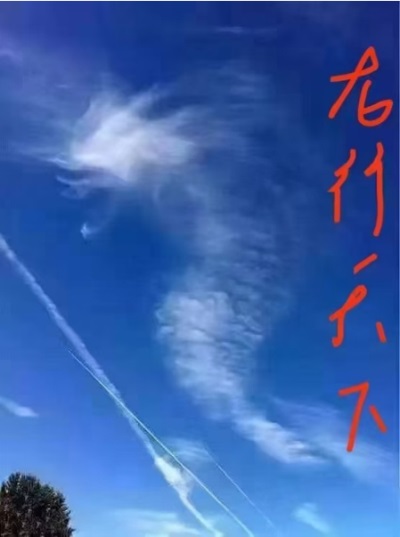 道家龙文化传播大使---陈兆威