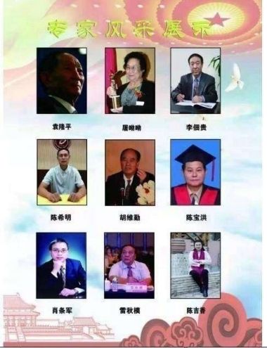 彰显中国榜样时代楷模中国著名针灸专家治疗肿瘤第一人——陈吉香