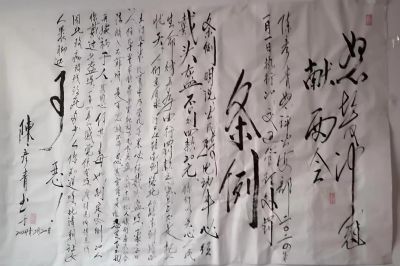 承千年文化 扬中医德馨 特别报道 五一中医劳模---陈彦青