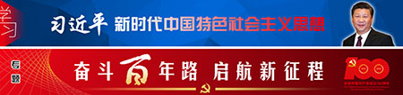 疑难病诊疗专家黎雪凤